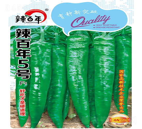 ������5̖(h��o)-�����N��-�K��(r��n)�N�I(y��)