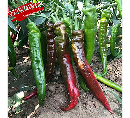 �K��(r��n)�G�焦-�����N��-�K��(r��n)�N�I(y��)