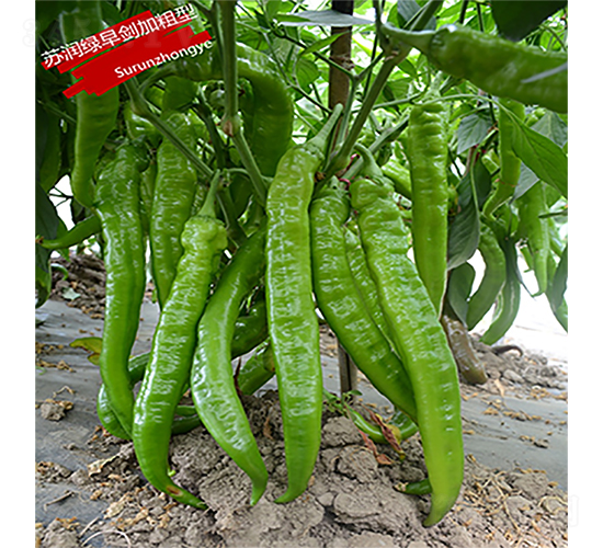 �K���G�焦���Ӵ��ͣ�-�����N��-�K���N�I(y��)