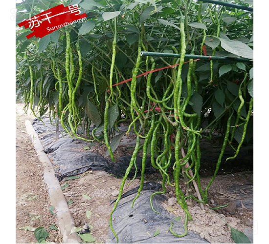 �K��һ̖-�����N��-�K���N�I(y��)