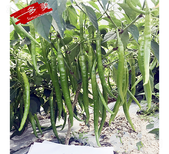 ����-�����N��-�K���N�I(y��)