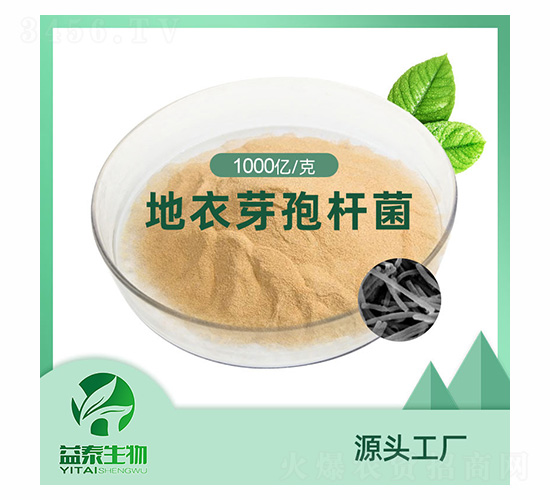 ����ѿ�ߗU��ԭ��-������