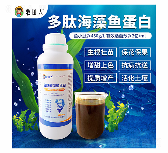 多肽海藻魚蛋白-牧田人