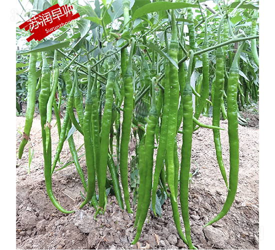 �K���玛-�����N��-�K���N�I(y��)