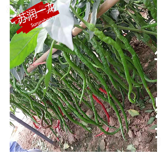 �K��һ��-�����N��-�K���N�I(y��)