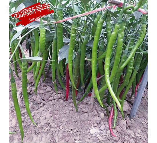 �K�������S-�����N��-�K���N�I(y��)