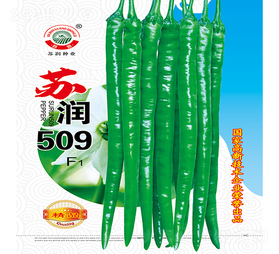 �K��509-�����N��-�K���N�I(y��)