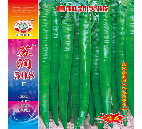 �K��508-�����N��-�K���N�I(y��)