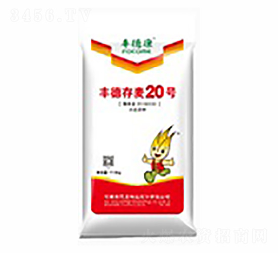 �S�´���20̖���t��-�S�¿�