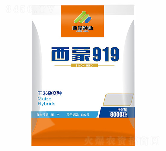 ����919-���ɷN�I(y��)