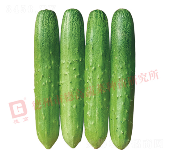 �¸�1913�S��-�S�ϷN��-�¸߷N�I(y��)