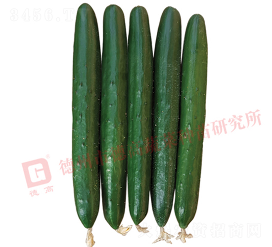 �¸��A��6̖�S��-�S�ϷN��-�¸߷N�I(y��)