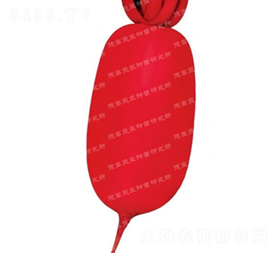 �tƤ�}��-�׼t-�}���N��-�¸߷N�I(y��)