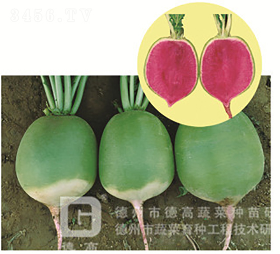 �������}��-�t��ٝ-�}���N��-�¸߷N�I(y��)