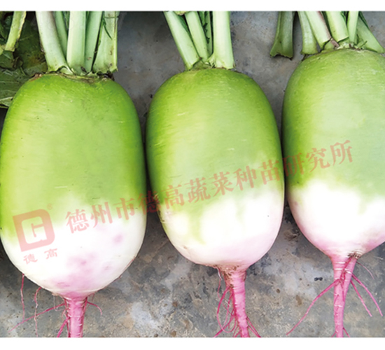 �������}��-�¸ߺ��t-�}���N��-�¸߷N�I(y��)