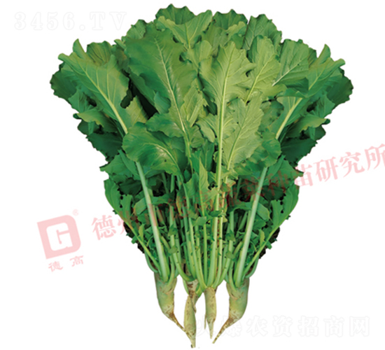 �~���}��-R460-�}���N��-�¸߷N�I(y��)