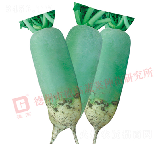 ˮ���}��-��Ȫ-�}���N��-�¸߷N�I(y��)