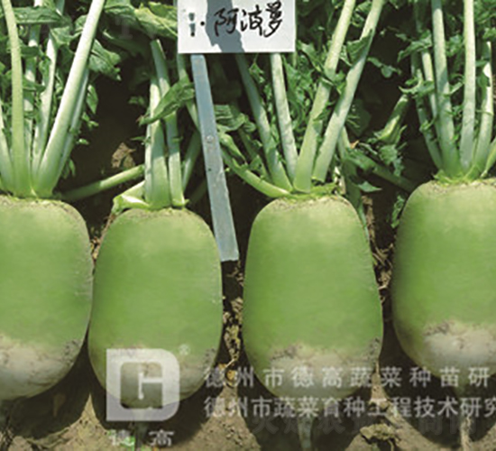 �S�GƤ�}��-�����}-�}���N��-�¸߷N�I(y��)