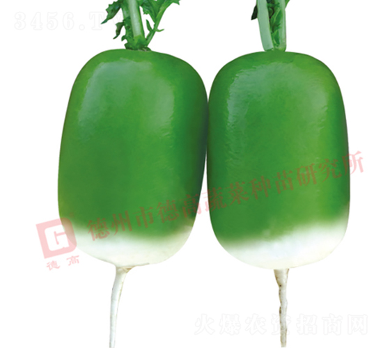 �S�GƤ�}��-����-�}���N��-�¸߷N�I(y��)