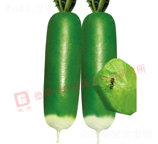 ˮ���}��-���}��-�}���N��-�¸߷N�I(y��)