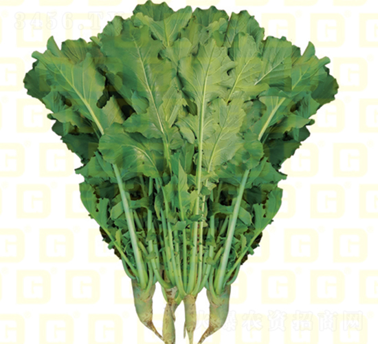 �~���}��-�¸�R460-�}���N��-�¸߷N�I(y��)