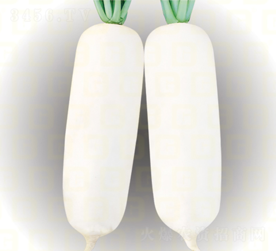 ���}��-�¸߇���-�}���N��-�¸߷N�I(y��)