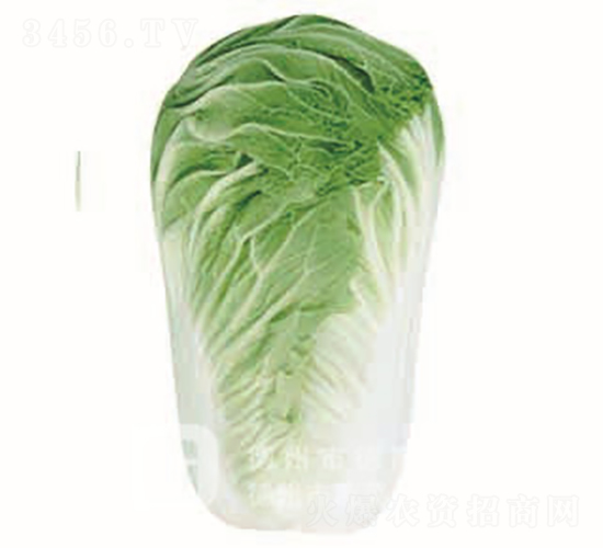 �＾�ײ�-�¸�8̖-��ײ˷N��-�¸߷N�I(y��)