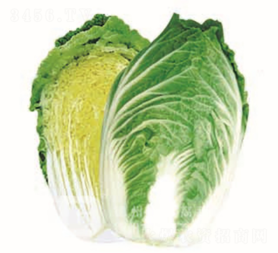 �����ͳ�޷�ײ�-�¸ߴ�-��ײ˷N��-�¸߷N�I(y��)