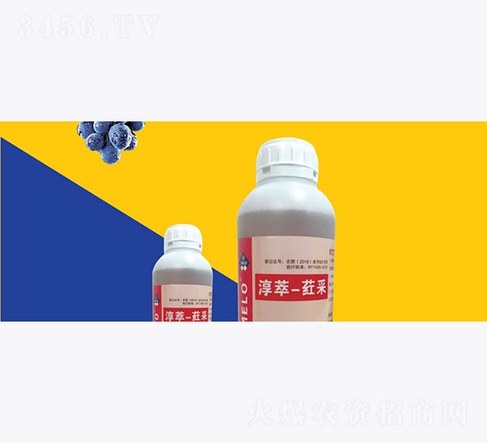 淳萃·葒采-淳萃能源