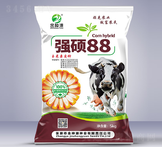 強碩88-玉米種子-金種源