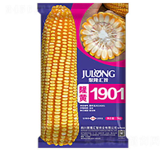 隆黃1901-玉米種子-聚隆匯智