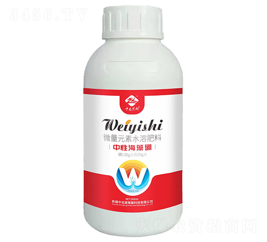 ���Ժ�����-�����ڿ�