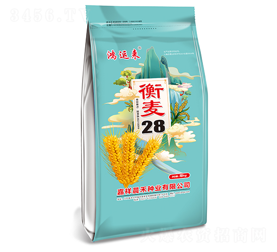 衡麥28小麥種子-鴻運(yùn)來(lái)-晨禾種業(yè)