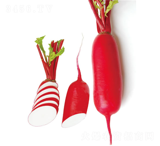 �M���t-�}���N��-�c�l(f��)��ʢ