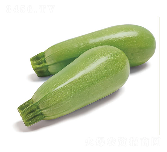 ����-�����J�N��-�c�l(f��)��ʢ