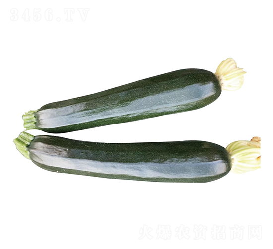 ����-�����J�N��-�c�l(f��)��ʢ