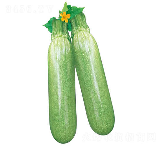 �G��-�����J�N��-�c�l(f��)��ʢ