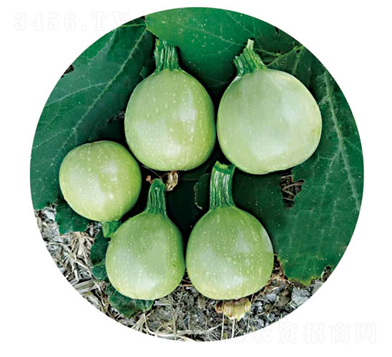 �G��-�����J�N��-�c�l(f��)��ʢ