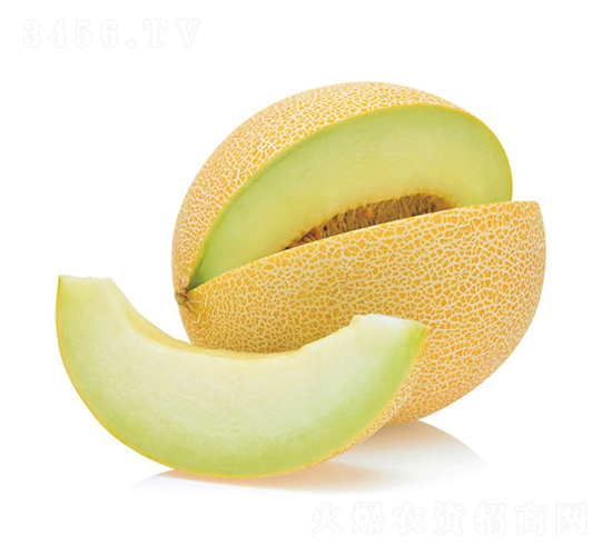 ɳ������-��ϷN��-�c�l(f��)��ʢ