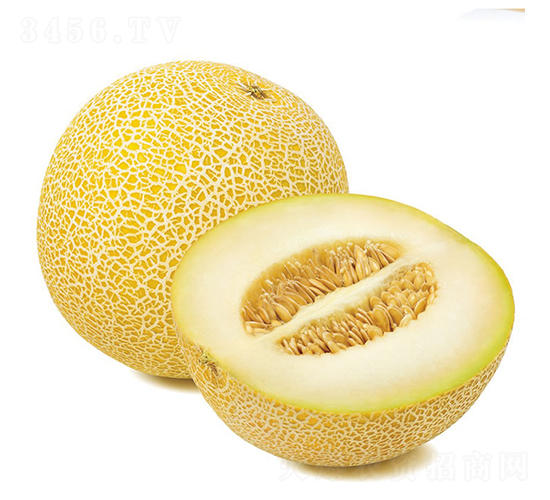 �S����-��ϷN��-�c�l(f��)��ʢ