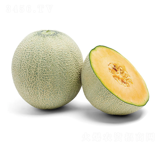 ����-��ϷN��-�c�l(f��)��ʢ