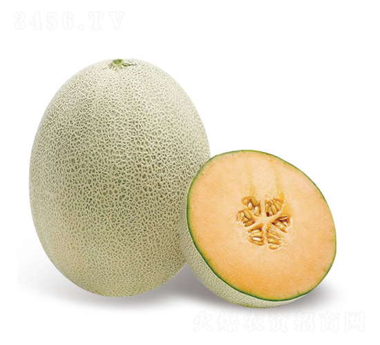 ���-��ϷN��-�c�l(f��)��ʢ