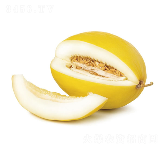 ����1̖-��ϷN��-�c�l(f��)��ʢ