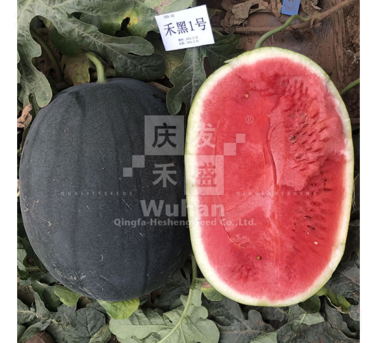 �̺�1̖-���ϷN��-�c�l(f��)��ʢ