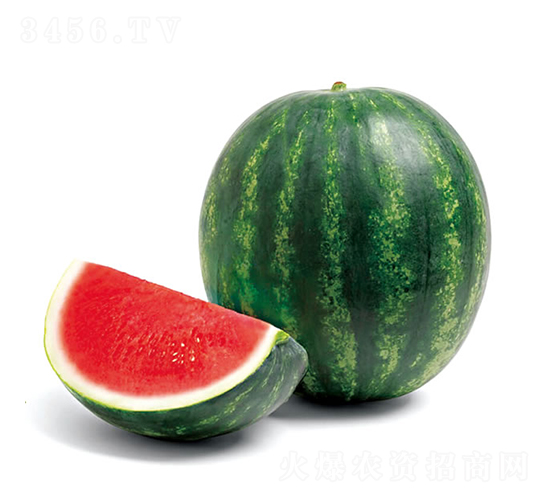 ���5̖-���ϷN��-�c�l(f��)��ʢ