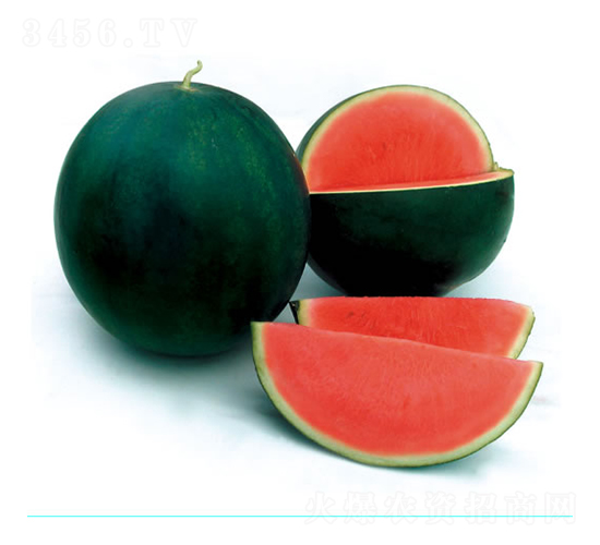 ��ö�o��1̖-���ϷN��-�c�l(f��)��ʢ