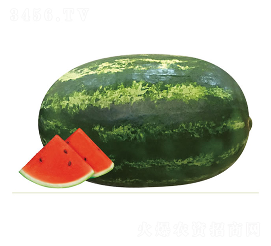 ����1̖(h��o)-���ϷN��-�c�l(f��)��ʢ