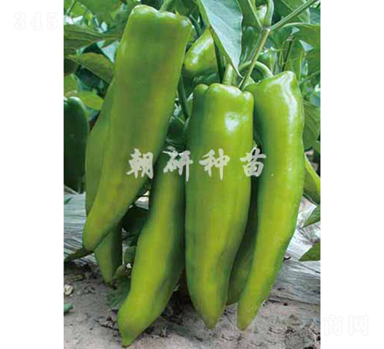 ����18-�����N��-���зN��