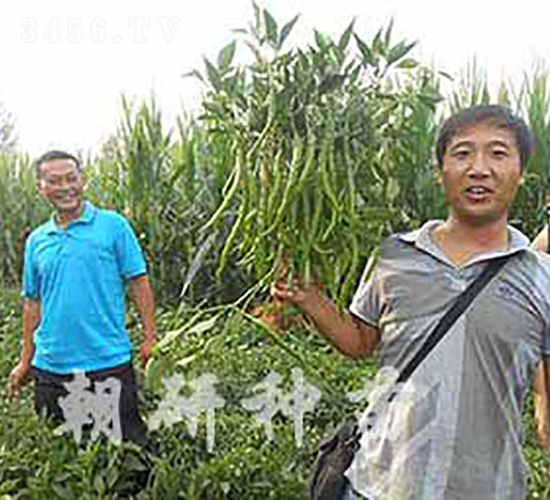 ��818-�����N��-���зN��