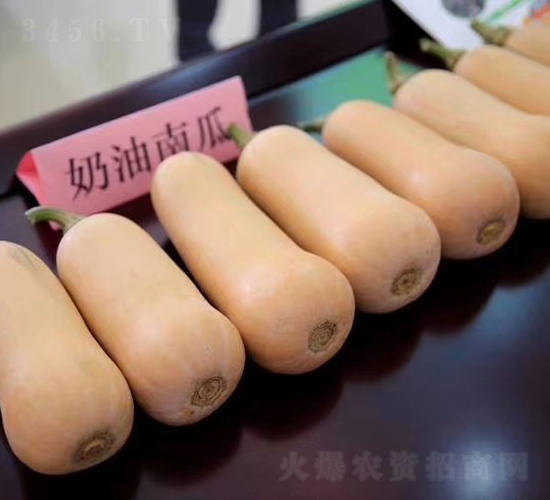 �����Ϲϲ���607-�ϹϷN��-���շN��